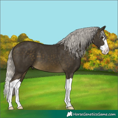Horse Color:Silver Buckskin Mushroom Splash