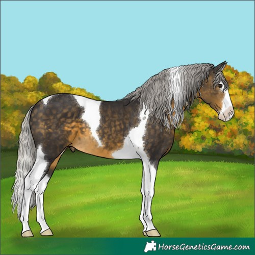 Horse Color:Silver Buckskin Splash Tobiano