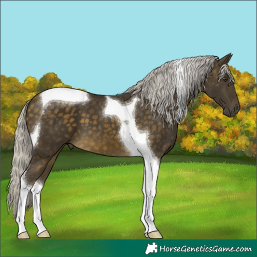 Horse Color:Silver Buckskin Mushroom Tobiano 
