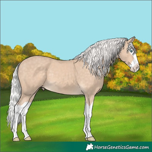 Horse Color:Silver Perlino Splash