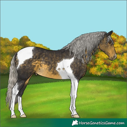 Horse Color:Silver Buckskin Mushroom Tobiano