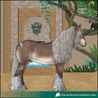 Horse Color:Silver Brown Dun Tobiano