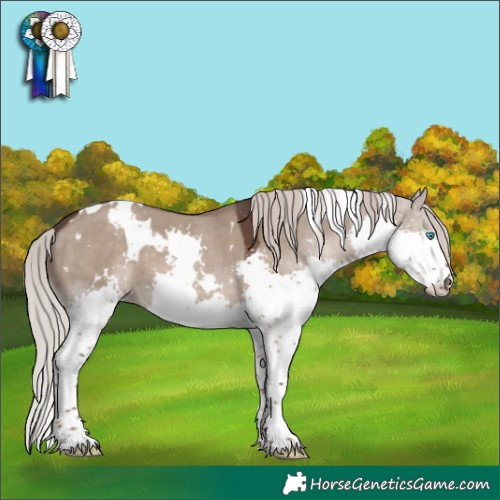Horse Color:White Spotted Silver Grullo Splash 