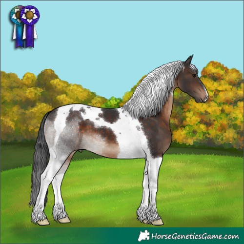 Horse Color:Brown Tobiano 
