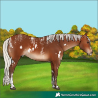 Horse Color:Powder White White Spotted Silver Brown