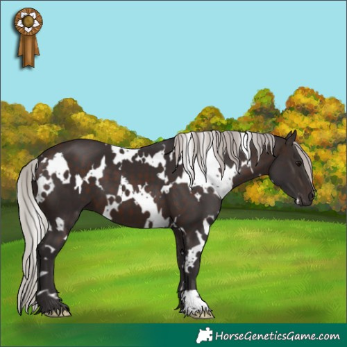 Horse Color:White Spotted Silver Brown 