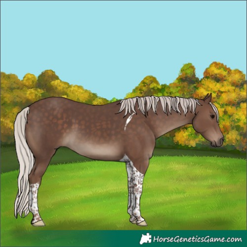 Horse Color:Silver Black Tobiano