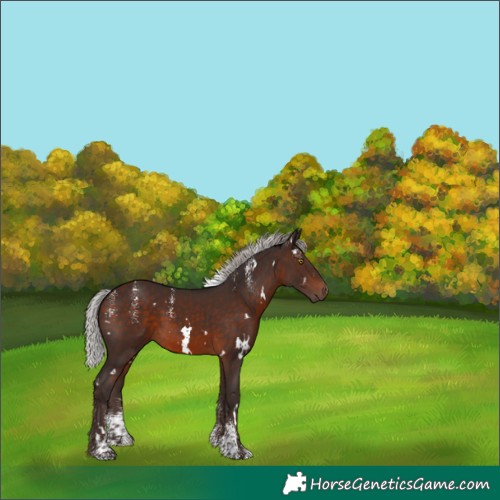 Horse Color:Powder White White Spotted Silver Brown Mushroom 