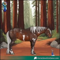 Horse Color:Powder White White Spotted Silver Brown Mushroom