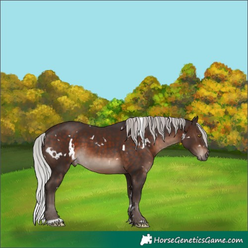 Horse Color:White Spotted Silver Brown Mushroom