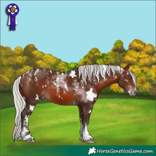 Horse Color:Powder White White Spotted Silver Brown Mushroom 