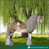 Horse Color:White Spotted Silver Buckskin Dun Tobiano Brindle