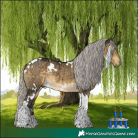 Horse Color:White Spotted Silver Buckskin Dun Tobiano Brindle