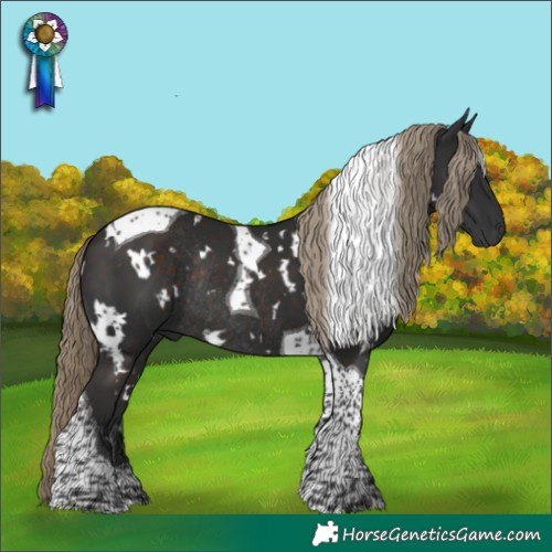 Horse Color:White Spotted Liver Chestnut Tobiano Rabicano