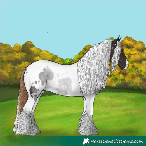 Horse Color:White Spotted Liver Chestnut Tobiano 