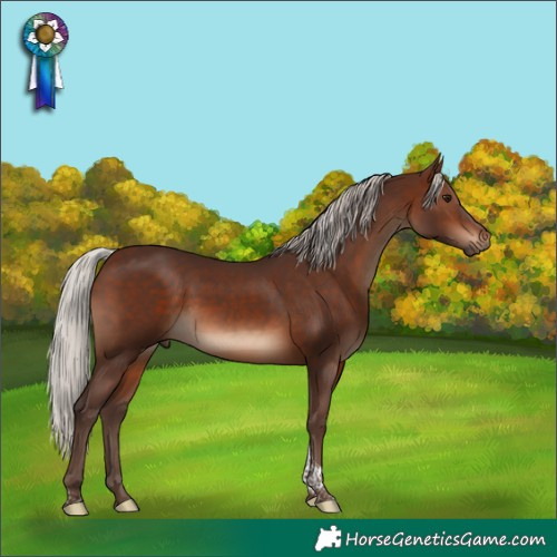 Horse Color:Silver Brown Tobiano