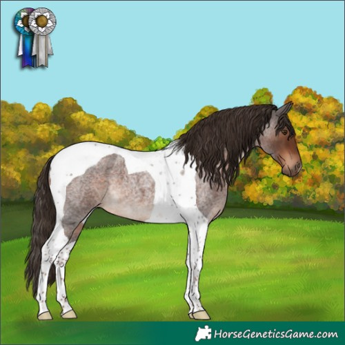 Horse Color:Liver Red Roan Tobiano 