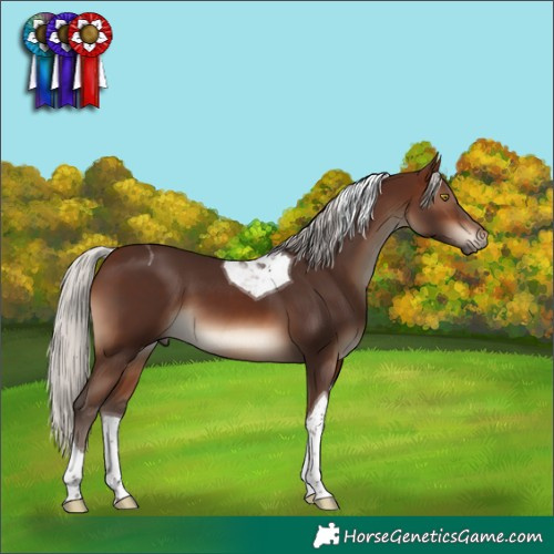 Horse Color:Silver Brown Tobiano