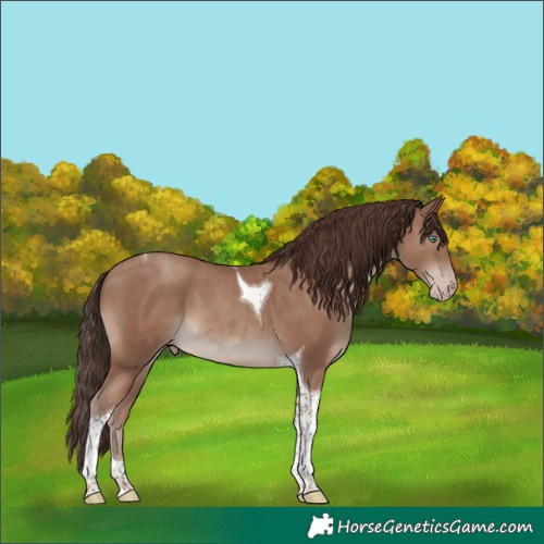 Horse Color:Classic Champagne Tobiano 