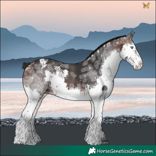 Horse Color:Brown Ice Splash Varnish 