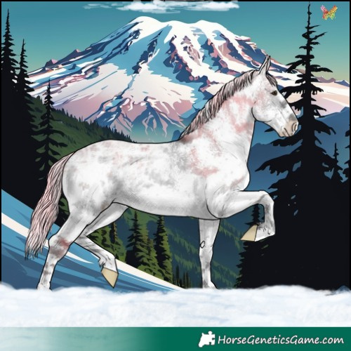Horse Color:Platinum White Spotted Silver Buckskin Ice Dun Rabicano 