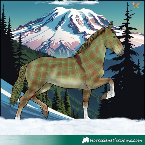 Horse Color:Plaid  Liver Red Dun Tobiano 