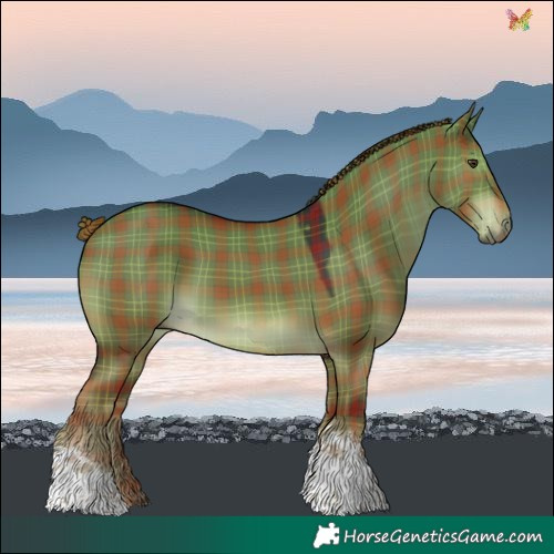 Horse Color:Plaid Liver Red Dun Tobiano