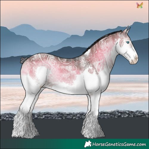 Horse Color:Powder White Plaid  Liver Red Onyx Ice Splash Tobiano 
