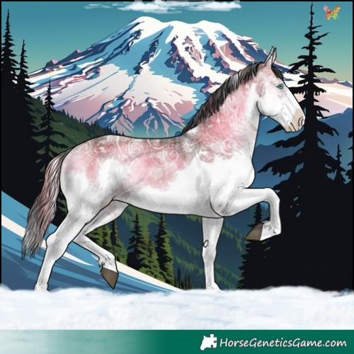 Horse Color:Powder White Plaid Liver Red Onyx Ice Splash Tobiano