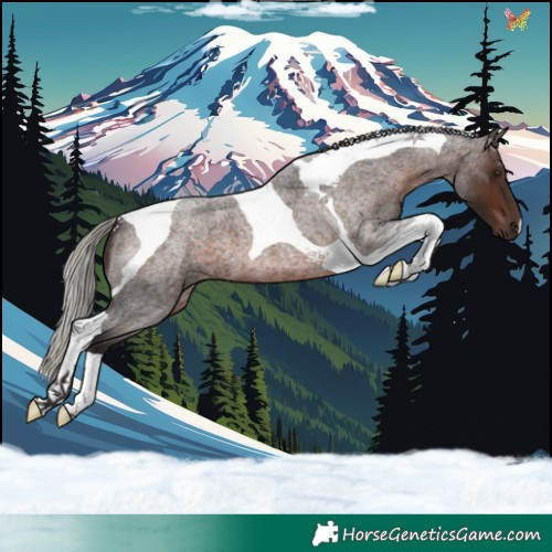 Horse Color:Silver Brown Roan Tobiano