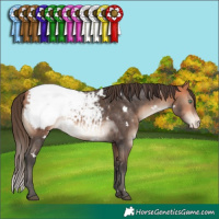 Horse Color:White Spotted Bay Mushroom Snowcap