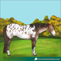 Horse Color:Bay Mushroom Blanket 