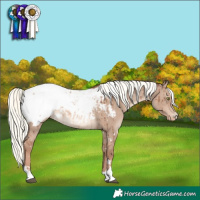 Horse Color:White Spotted Red Dun Mushroom Snowcap Brindle