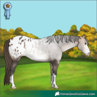 Horse Color:Bay Mushroom Blanket