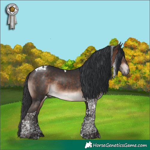 Horse Color:Bay Mushroom Tobiano