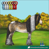 Horse Color:Buckskin Mushroom Tobiano 