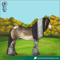 Horse Color:Buckskin Mushroom Tobiano