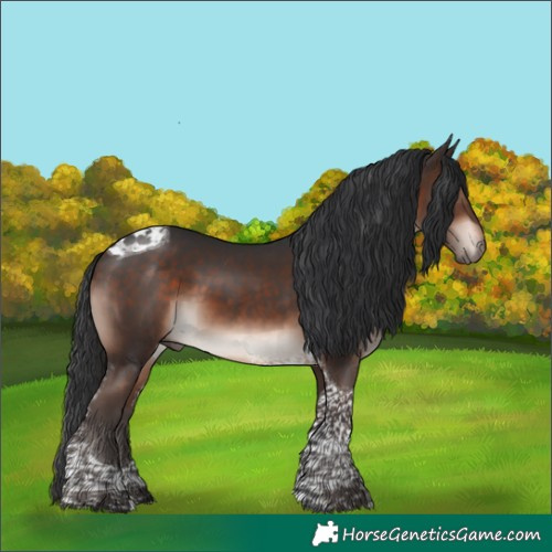 Horse Color:Bay Mushroom Tobiano