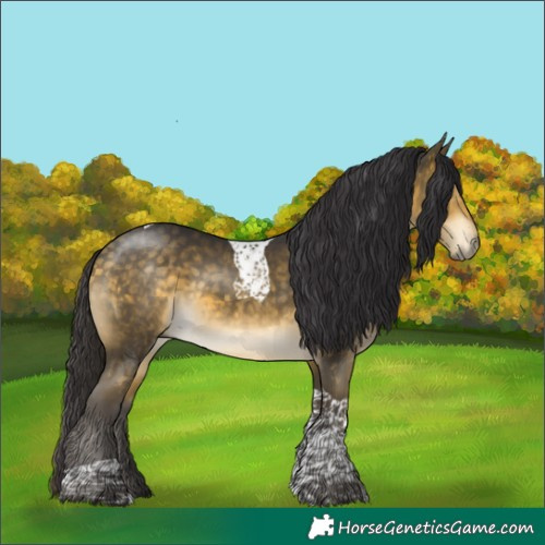 Horse Color:Buckskin Mushroom Tobiano