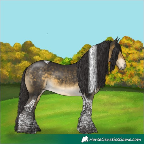 Horse Color:Buckskin Mushroom Tobiano