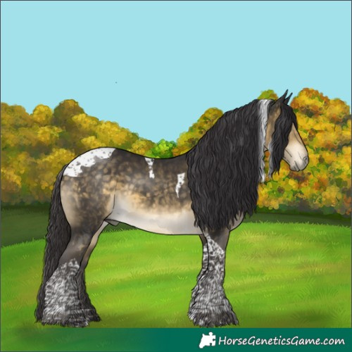 Horse Color:Buckskin Mushroom Tobiano
