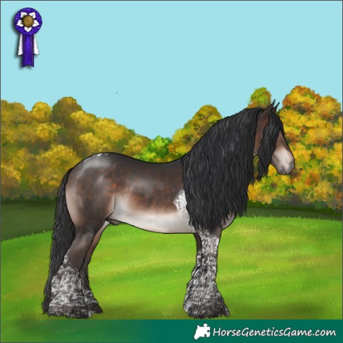 Horse Color:Bay Mushroom Tobiano
