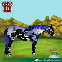 Horse Color:ERROR: UNKNOWN ANOMALY