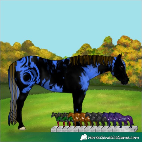 Horse Color:ERROR: UNKNOWN ANOMALY