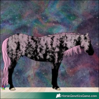 Horse Color:Void Watercolor Buckskin Dun Sabino