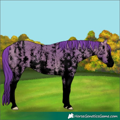 Horse Color:Void Watercolor Buckskin Dun Sabino