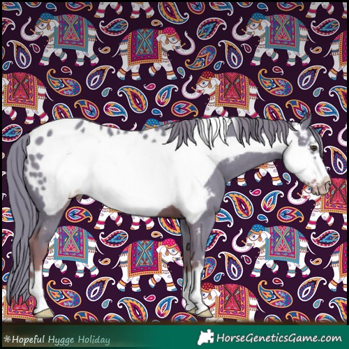 Horse Color:Watercolor Liver Chestnut Frame Appaloosa
