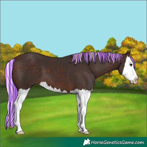 Horse Color:Painted Silver Brown Splash