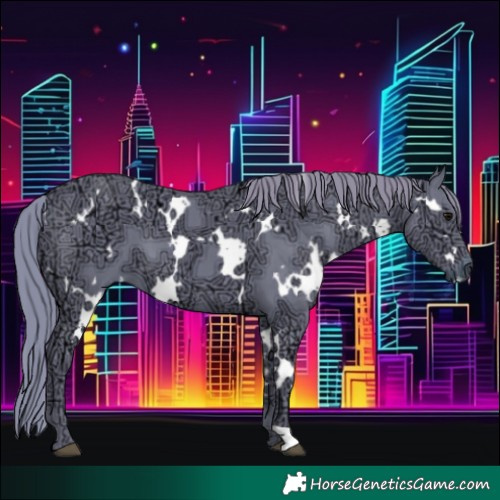 Horse Color:Watercolor White Spotted Black Ice 
