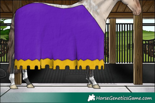 Horse Color:Bay Roan Dun Merle Skewed LP Spotted